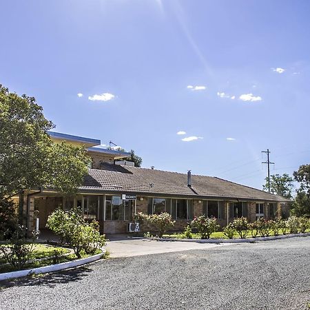 Allonville Gardens Motel Wagga Wagga Exterior foto
