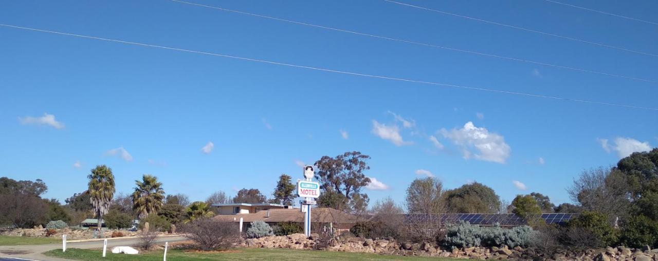 Allonville Gardens Motel Wagga Wagga Exterior foto